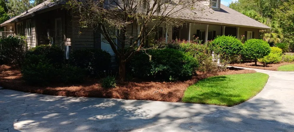 Local residential landscaping experts serving Savannah, GA - Yard Experts