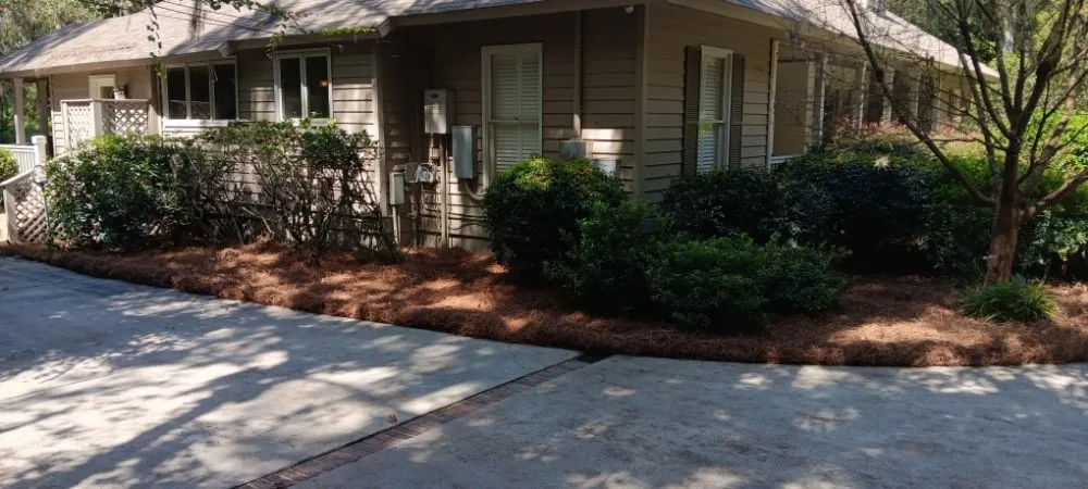 Reliable yard cleanup service for outdoor upgrades in Savannah, GA by Yard Experts