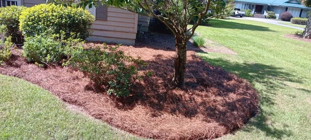 Custom lawn care service for homes across Savannah, GA - Yard Experts