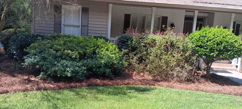 Reliable outdoor landscaping for homes in Savannah, GA by Yard Experts