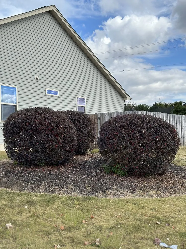 Custom residential landscaping in Boiling Springs, SC by Yard Fanatics Lawn Care