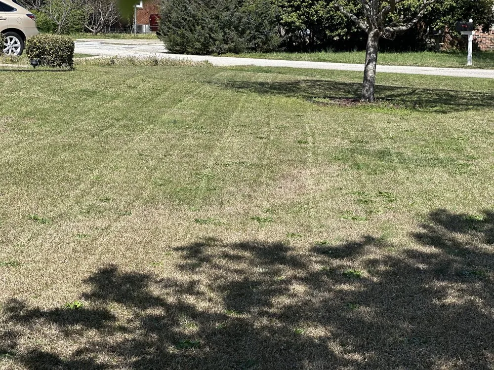 Custom landscape installation for beautiful yards across Boiling Springs, SC - Yard Fanatics Lawn Care