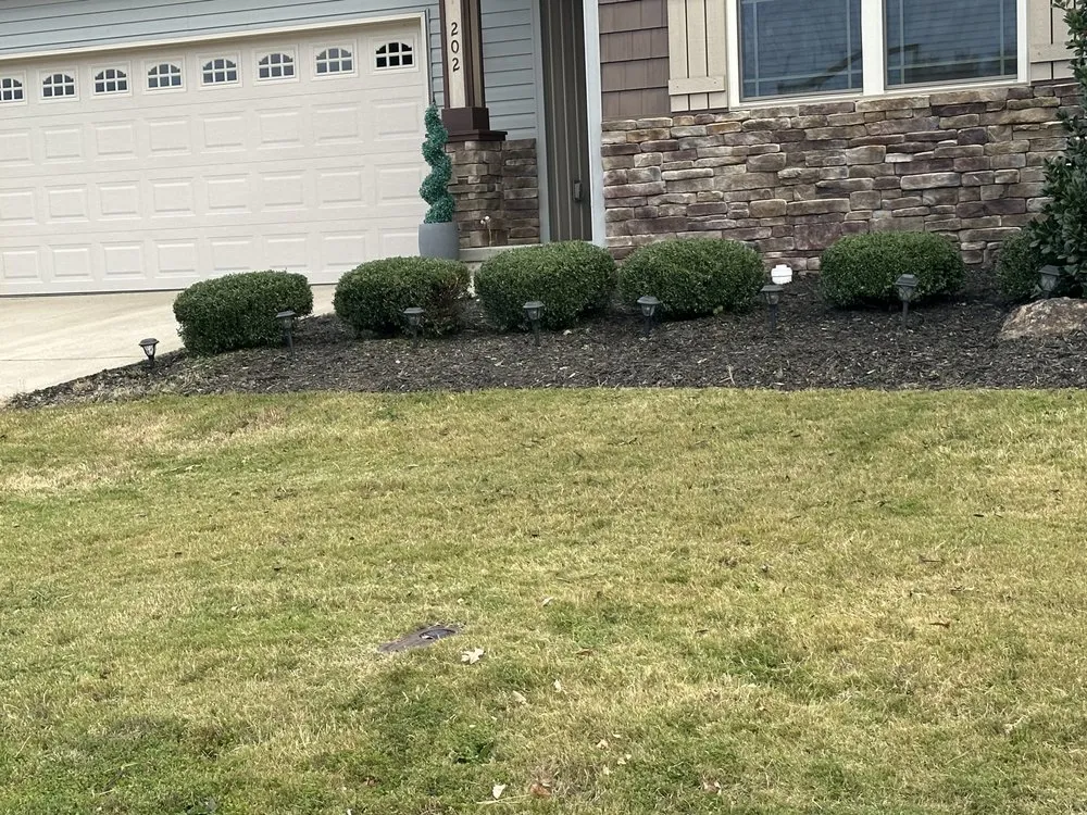 Affordable yard cleanup service in Boiling Springs, SC - Yard Fanatics Lawn Care