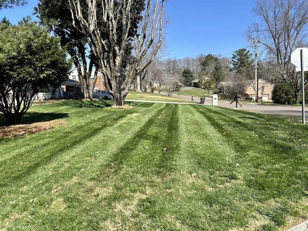Professional garden landscaping with custom design in Knox County, TN by Yard Fellas