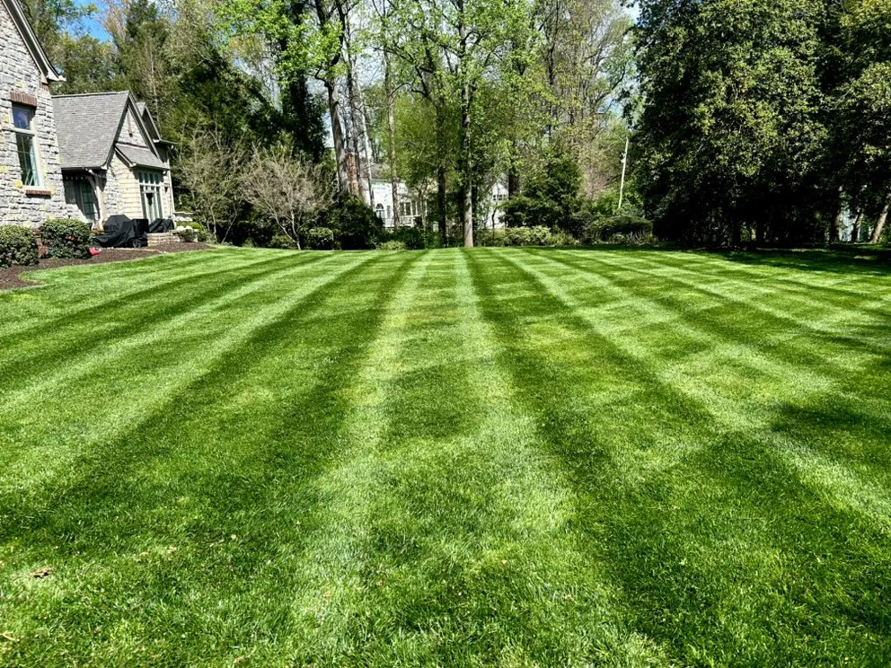 Reliable garden landscaping in Knox County, TN by Yard Fellas