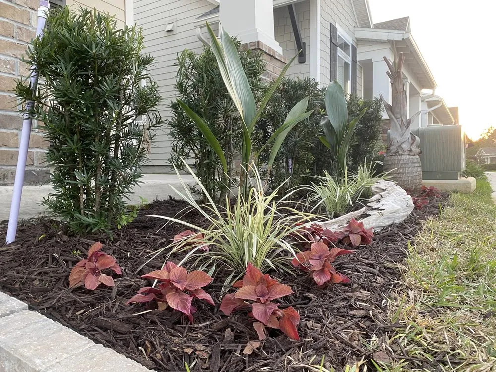 Affordable landscaping services experts serving Jacksonville, FL - Yard Gar Landscaping