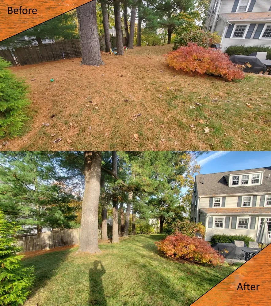 Top-rated outdoor landscaping in Malden, MA by Yard General AG