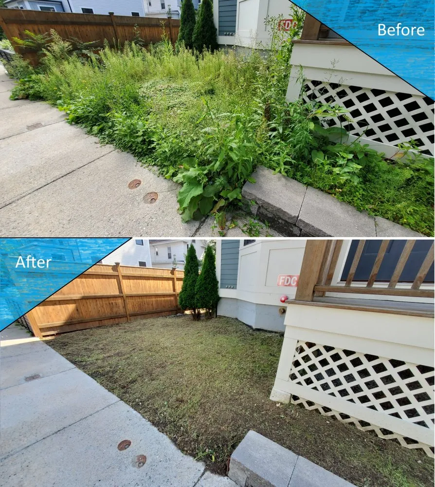 Local yard maintenance in Malden, MA by Yard General AG