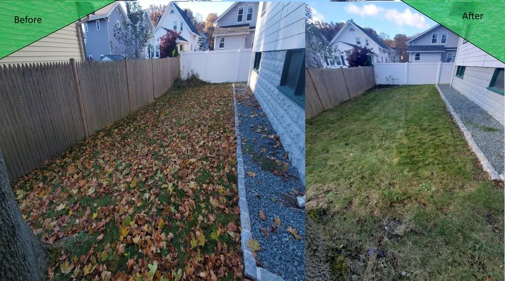 Professional lawn mowing service in Malden, MA - Yard General AG