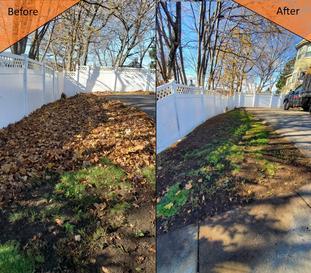 Local yard maintenance in Malden, MA - Yard General AG