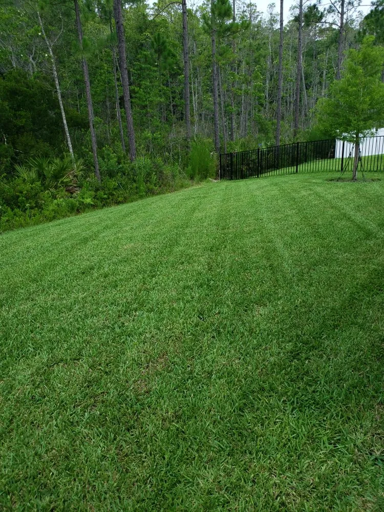 Professional garden landscaping in Saint Johns, FL by Yard Genie