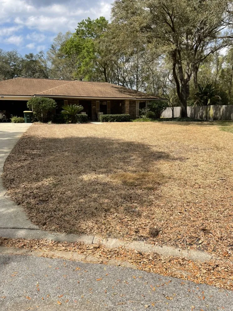 Professional residential landscaping experts serving Saint Johns, FL - Yard Genie