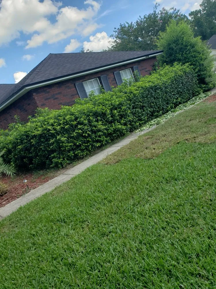 Expert residential landscaping in Saint Johns, FL - Yard Genie