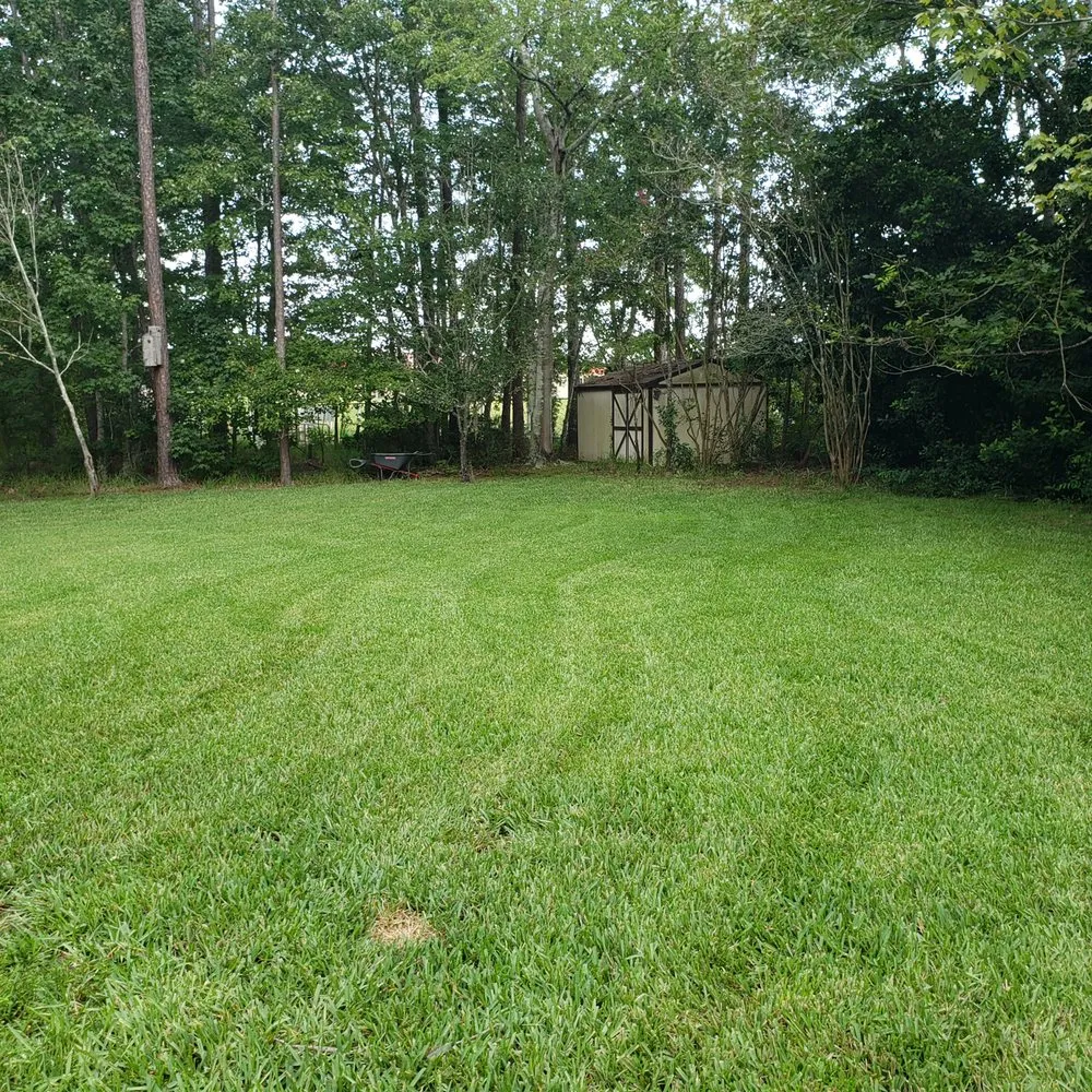 Affordable landscape installation in Saint Johns, FL - Yard Genie