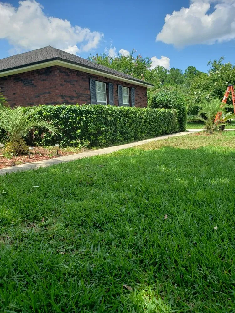 Professional yard maintenance for year-round maintenance across Saint Johns, FL - Yard Genie