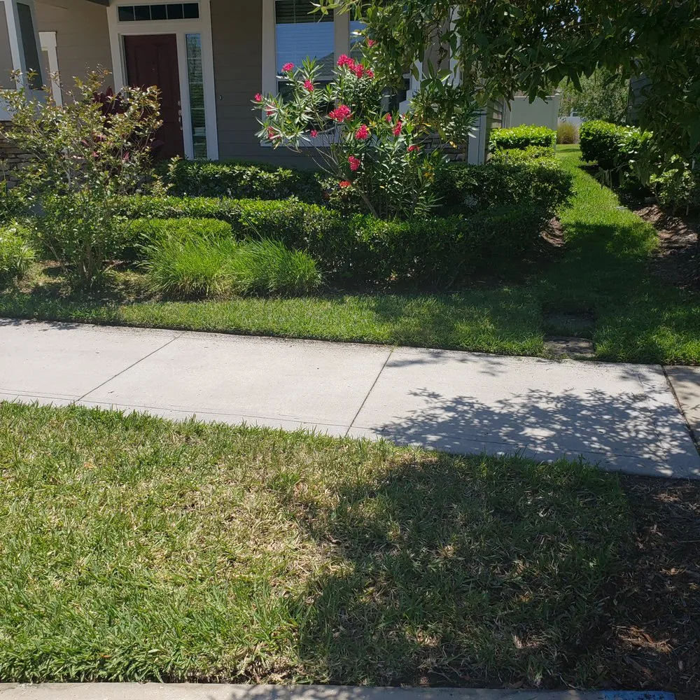 Top-rated yard cleanup service for residential properties in Saint Johns, FL by Yard Genie