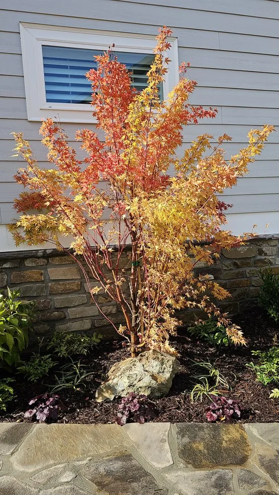 Top-rated outdoor landscaping in Waleska, GA - Yard Geniuses