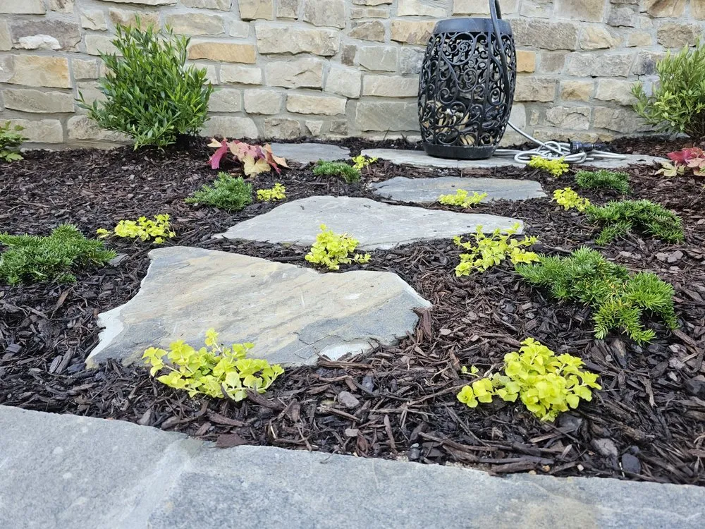 Professional yard maintenance experts serving Waleska, GA - Yard Geniuses