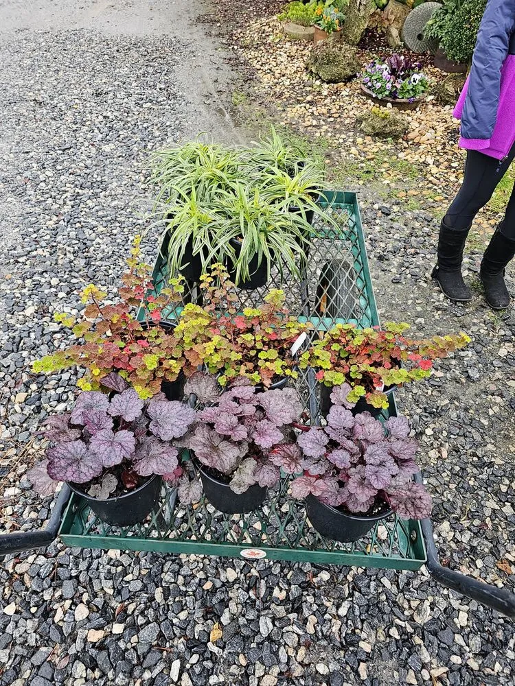 Expert landscape installation for beautiful yards in Waleska, GA by Yard Geniuses