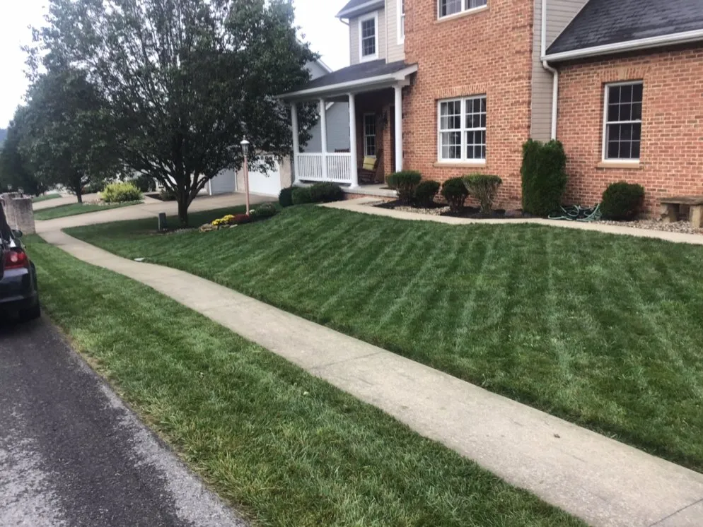 Affordable landscaping services with custom design across Morgantown, WV - Yard Groomers