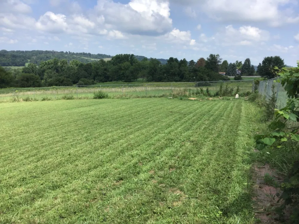 Affordable landscape design in Morgantown, WV by Yard Groomers