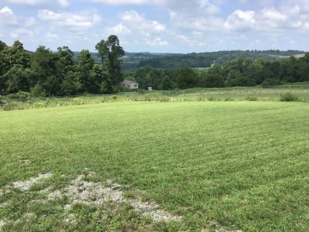 Trusted landscape design in Morgantown, WV by Yard Groomers