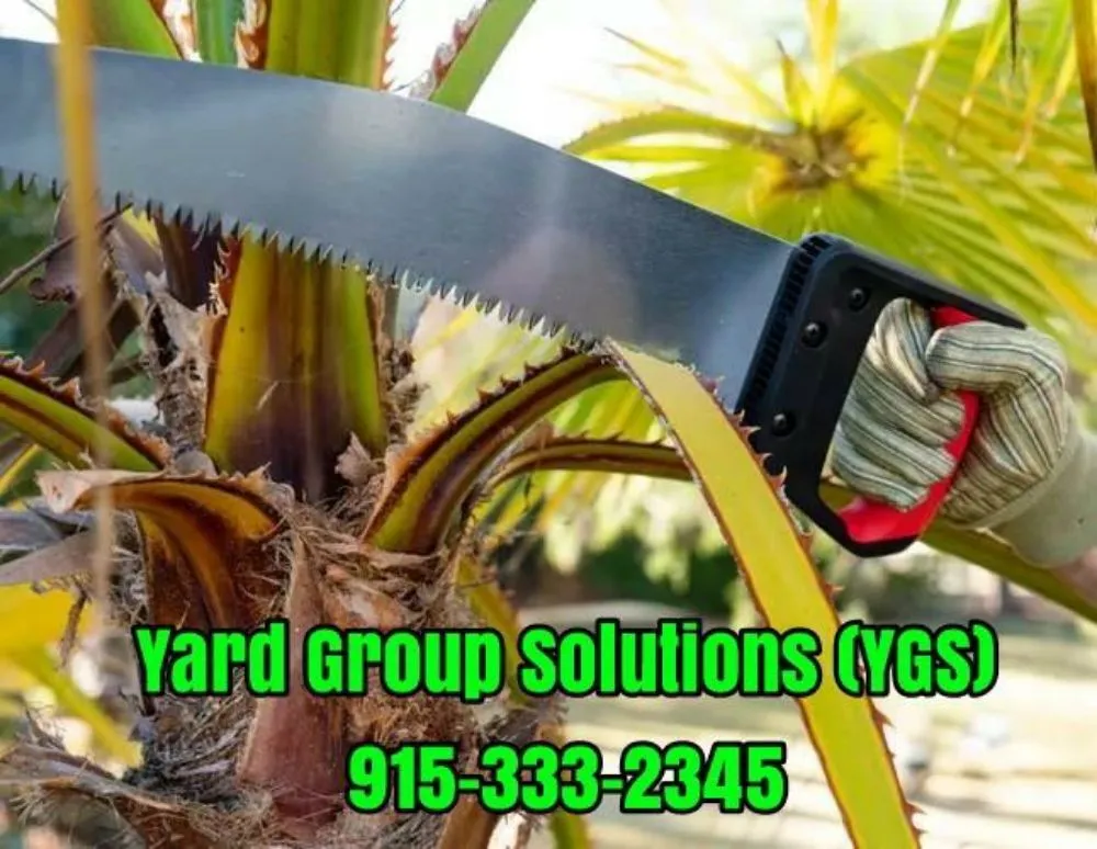 Reliable landscaping services near you in El Paso, TX by YARD GROUP SOLUTIONS YGS