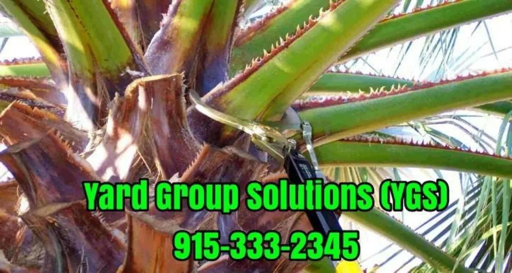 Professional landscape design for year-round maintenance across El Paso, TX - YARD GROUP SOLUTIONS YGS
