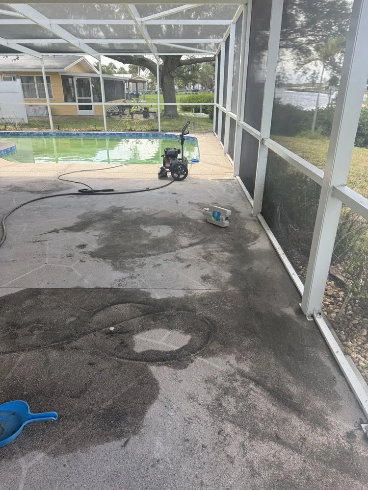 Expert yard cleanup service experts serving Sarasota, FL - Yard Guardians