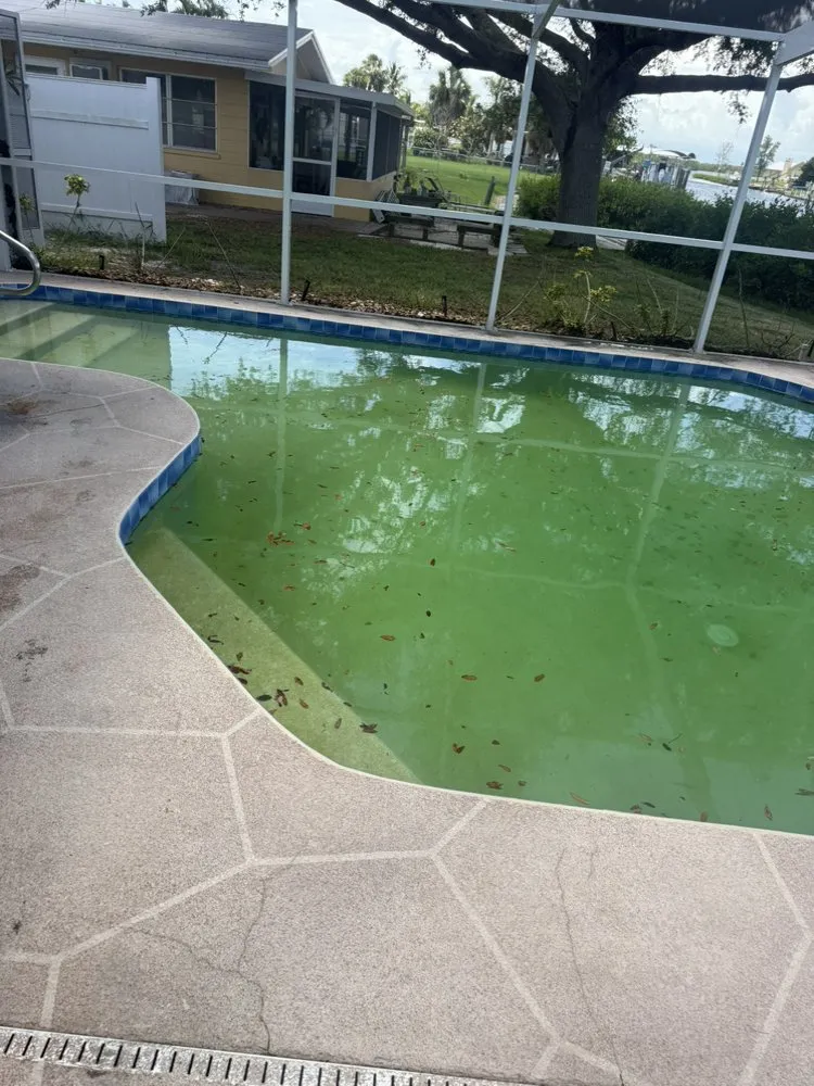 Expert lawn mowing service in Sarasota, FL - Yard Guardians