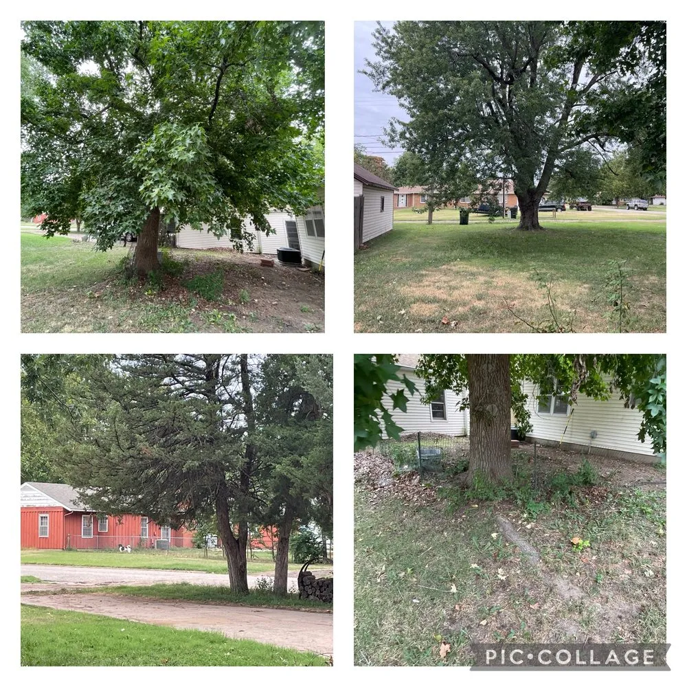 Local yard cleanup service in Stafford, KS by Yard Guru Services