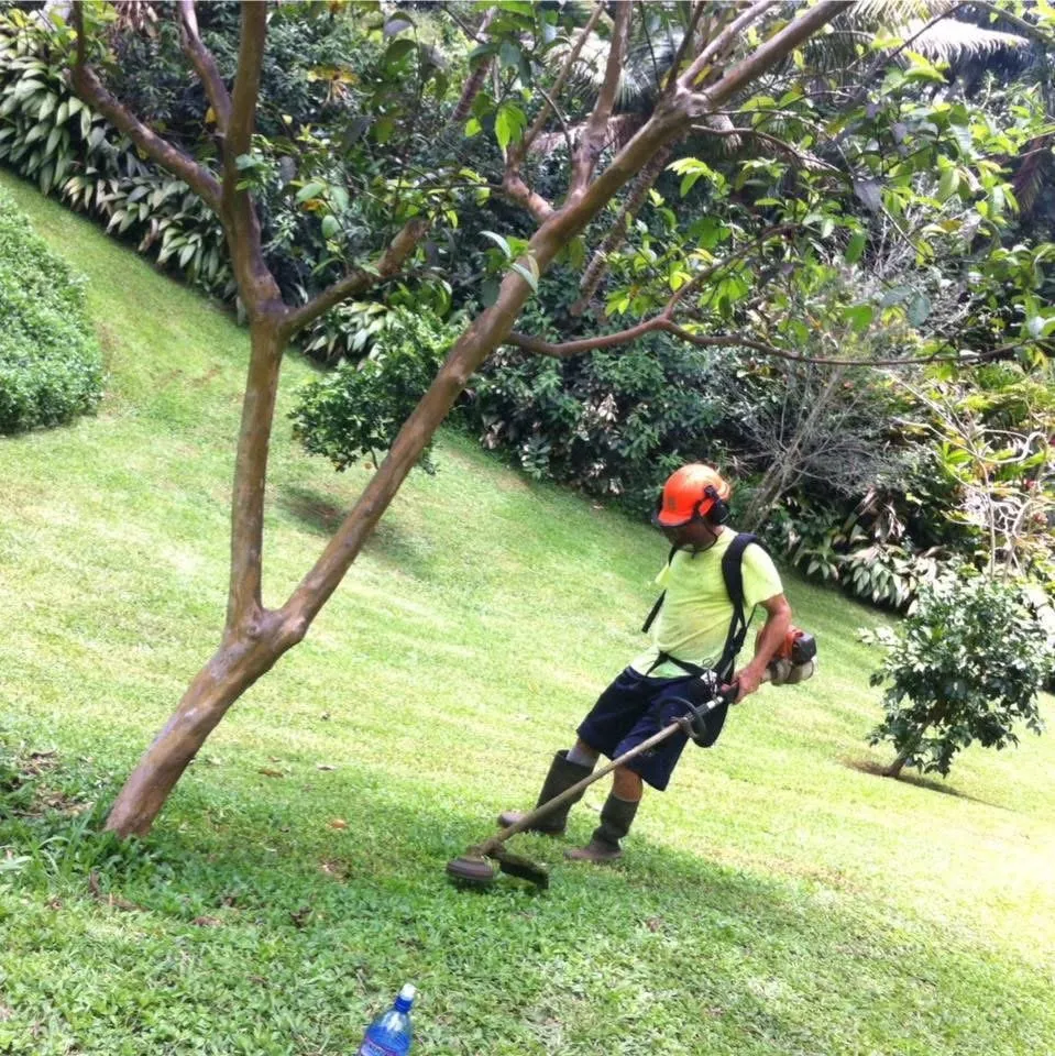 Professional landscape design in Kapaʻa, HI - Yard Guy