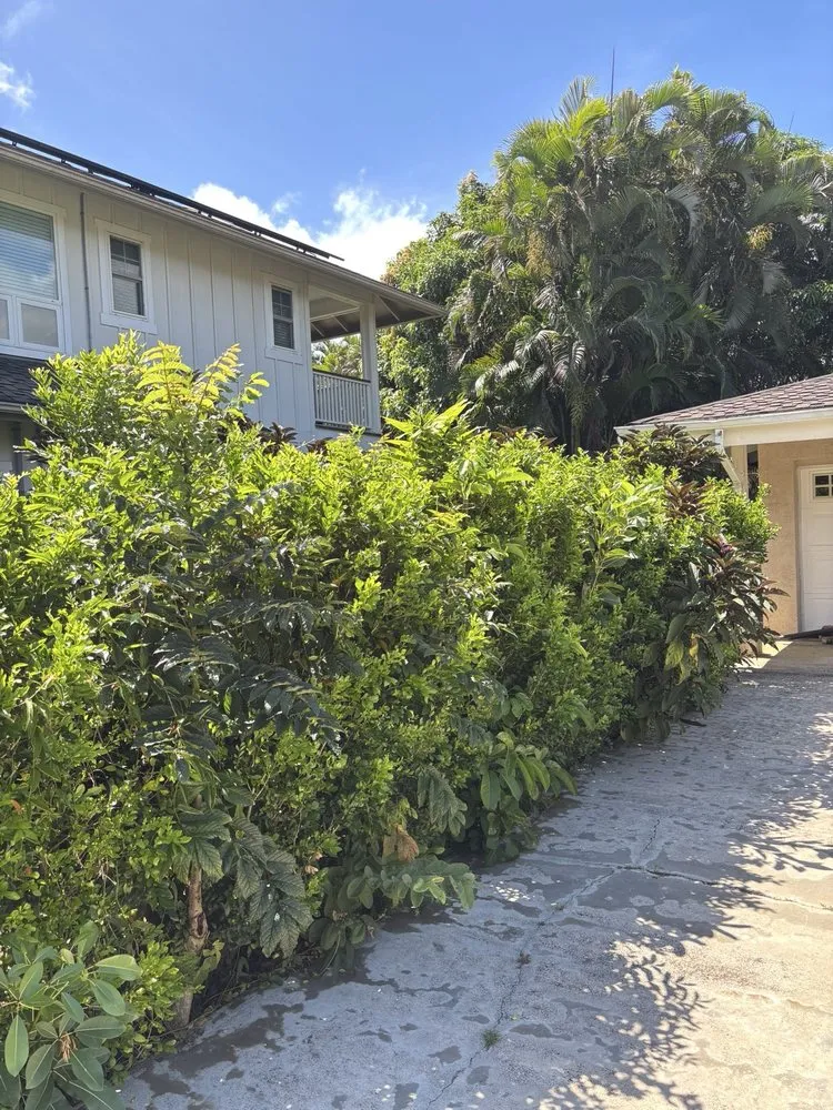 Local landscape design for year-round maintenance across Kapaʻa, HI - Yard Guy