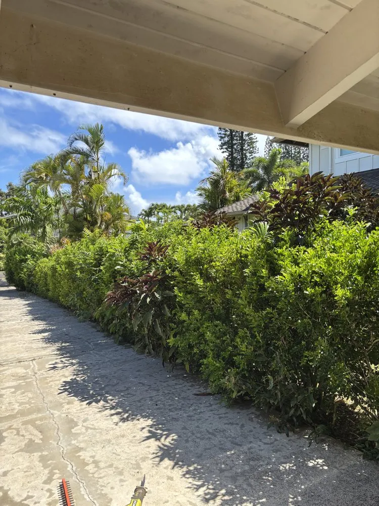 Local landscape installation experts serving Kapaʻa, HI - Yard Guy