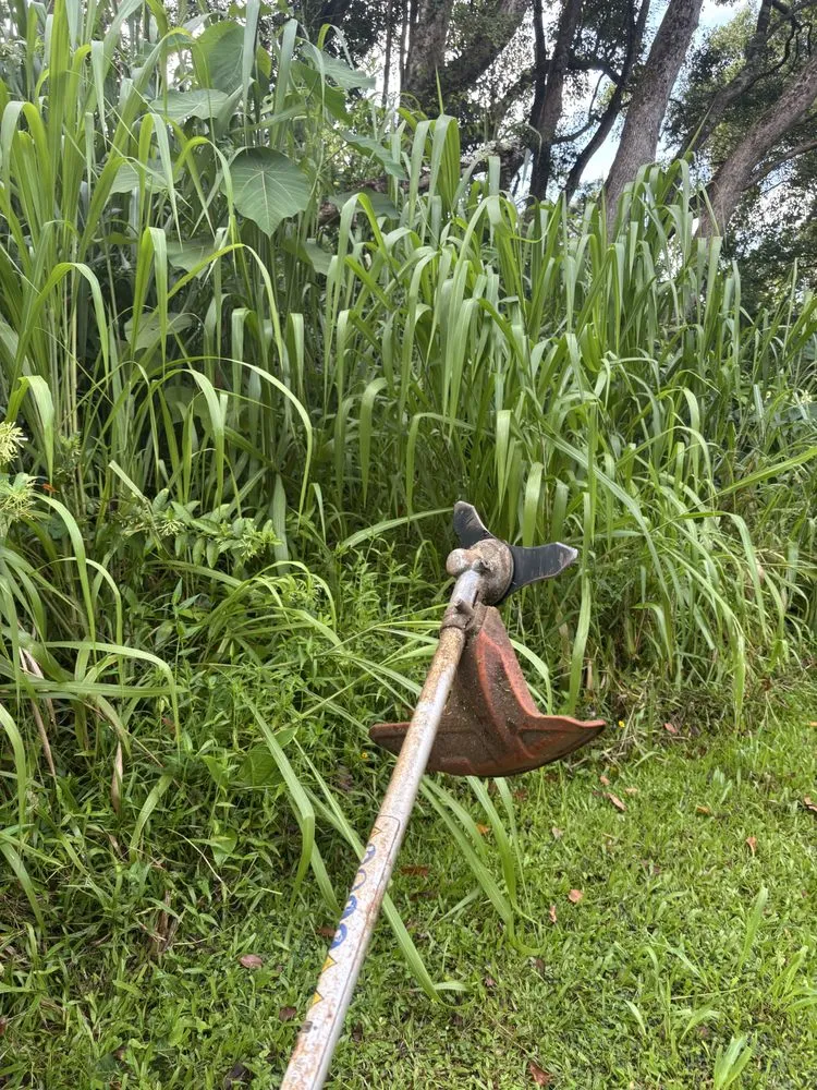 Local yard maintenance in Kapaʻa, HI - Yard Guy