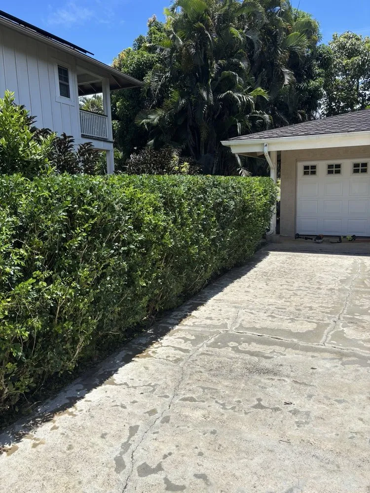 Local yard maintenance experts serving Kapaʻa, HI - Yard Guy