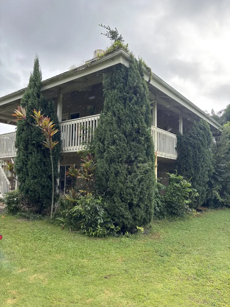 Trusted yard cleanup service for beautiful yards across Kapaʻa, HI - Yard Guy