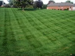 Professional landscape design for year-round maintenance in Wichita, KS by Yard Guy Lawn Service