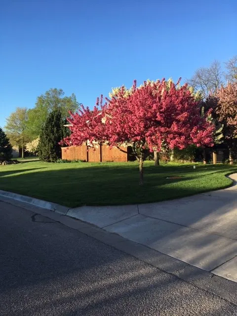 Professional landscaping services experts serving Wichita, KS - Yard Guy Lawn Service