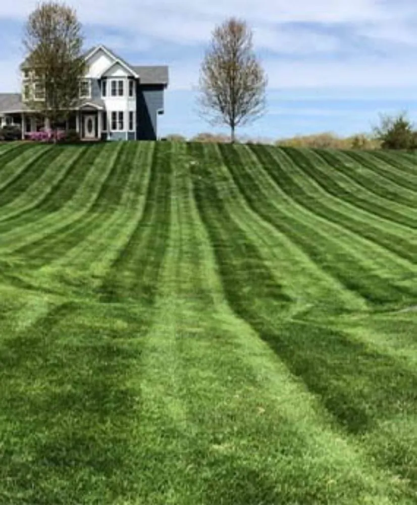 Trusted landscape installation in Bayboro, NC by Yard Guys