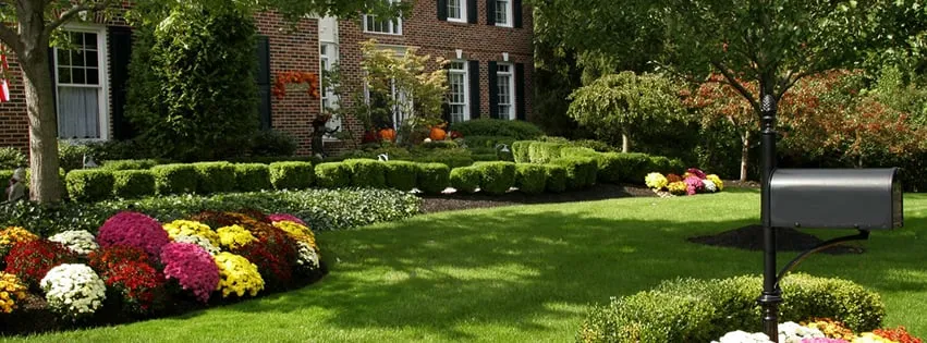 Expert yard maintenance experts serving Haltom City, TX - Yard Guys