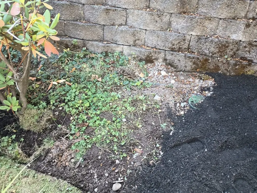 Trusted outdoor landscaping with custom design in Sultan, WA by Yard Guys Kauai