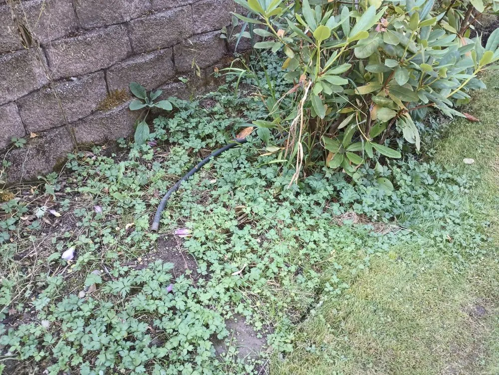 Reliable landscape installation in Sultan, WA - Yard Guys Kauai