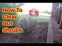 Trusted residential landscaping for beautiful yards in Saint Paul, MN by Yard Guys