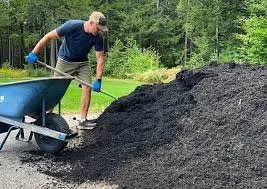 Top-rated residential landscaping near you in Saint Paul, MN by Yard Guys