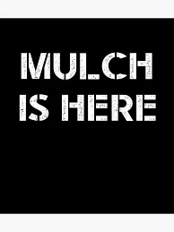 Custom landscape installation experts serving Saint Paul, MN - Yard Guys