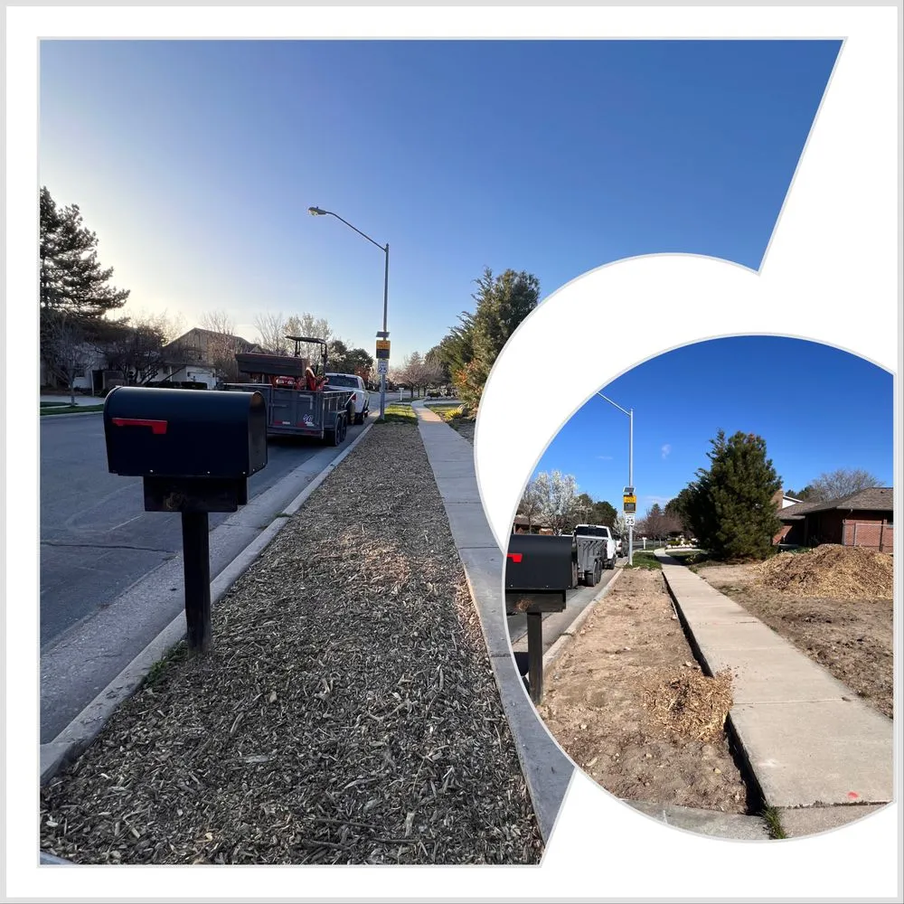 Custom landscape installation for year-round maintenance across Salt Lake City, UT - Yard Hands