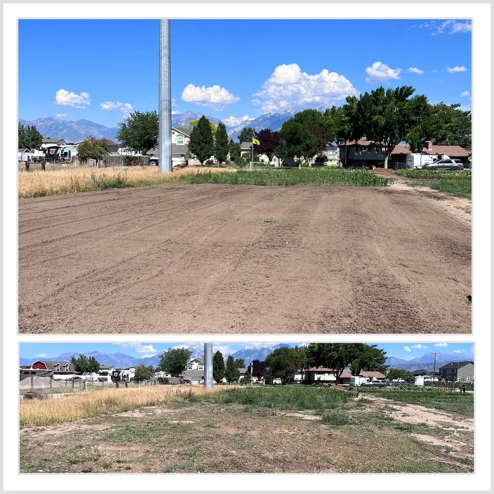 Trusted yard cleanup service experts serving Salt Lake City, UT - Yard Hands