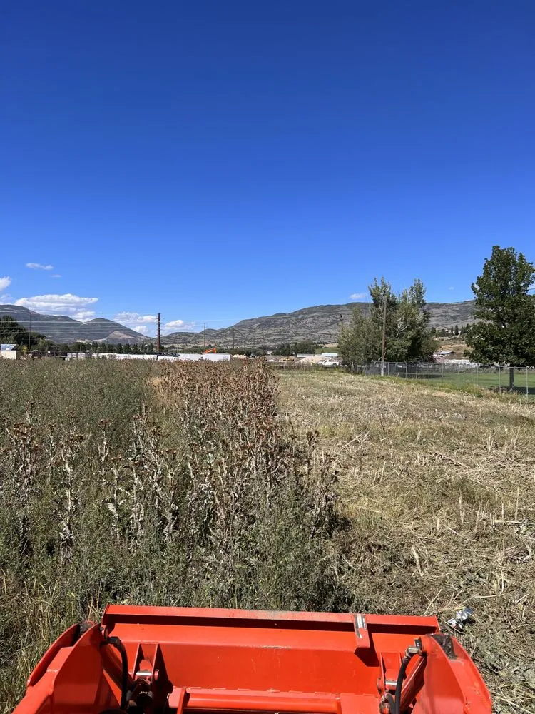 Custom garden landscaping for residential properties in Salt Lake City, UT by Yard Hands