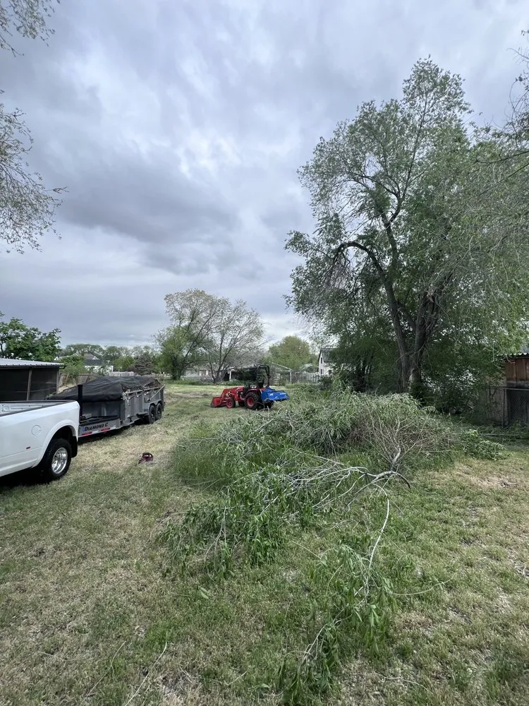 Local residential landscaping in Salt Lake City, UT by Yard Hands